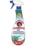 CHANTECLAIR SPRAY ML625 WC DISINCROSTANTE