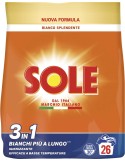 SOLE LAVATRICE  POLVERE 26 MISURINI