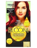 BLOOM CREMA    COLOR 666