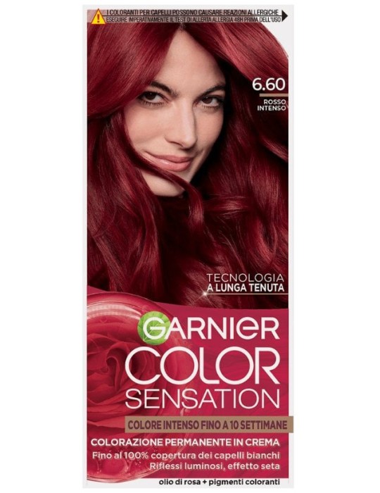 GARNIER        COL SENS N 6 6 R INTEN