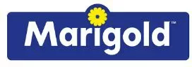 MARIGOLD